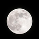 Image for article titled Greed is good (and totally a Libra) thanks to this stock portfolio app based on your horoscope